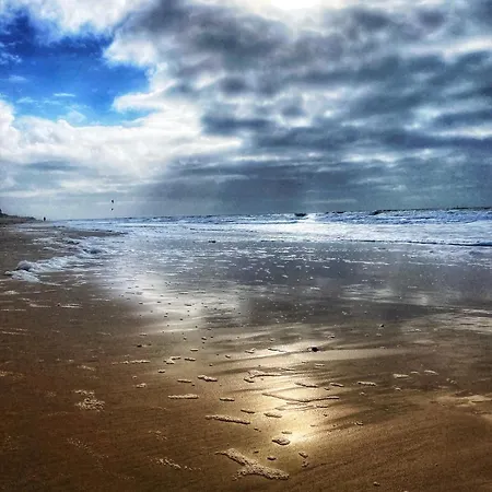 Im Haus Nordland App 24