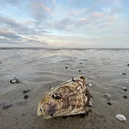 Lägenhet Im Haus Nordland App 24 *